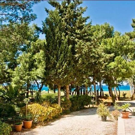 Appartamento I Tramonti Di Cofano 卡斯泰卢佐 外观 照片