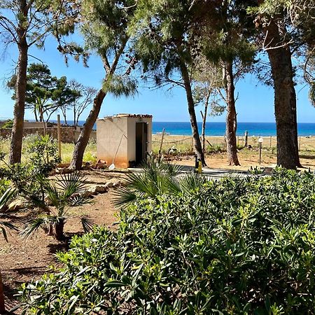 Appartamento I Tramonti Di Cofano 卡斯泰卢佐 外观 照片