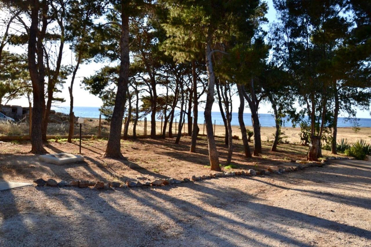 Appartamento I Tramonti Di Cofano 卡斯泰卢佐 外观 照片