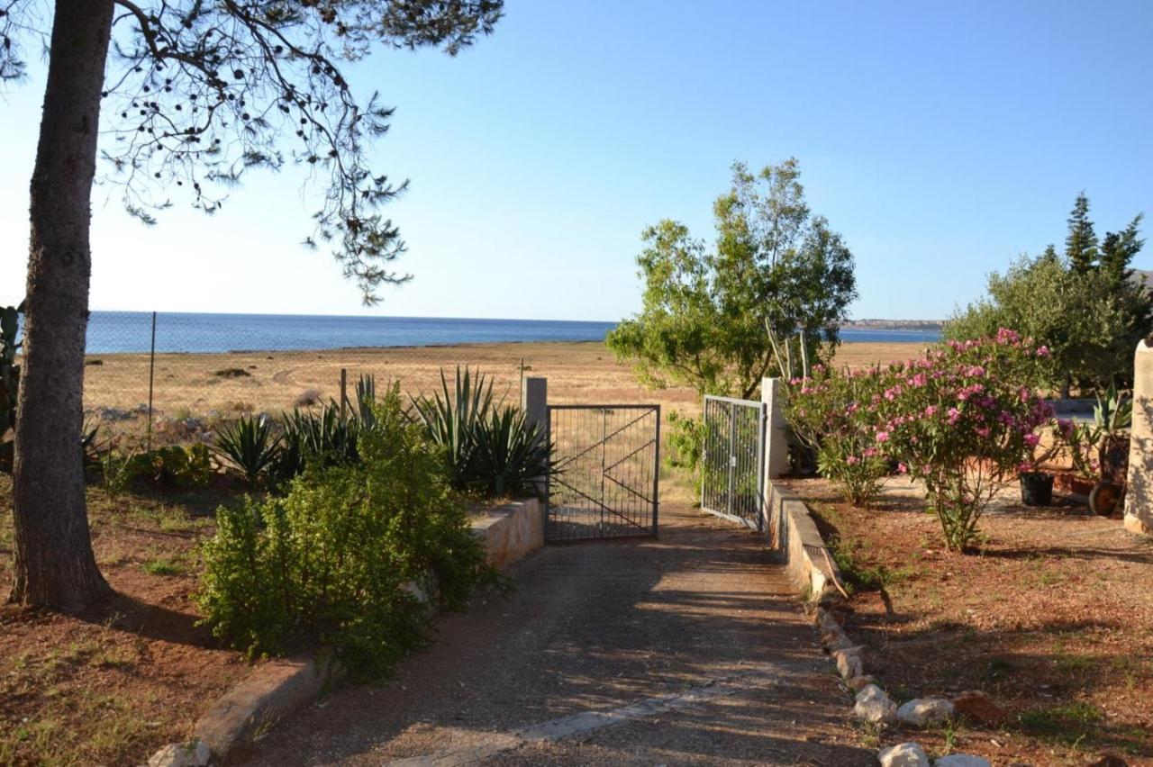 Appartamento I Tramonti Di Cofano 卡斯泰卢佐 外观 照片