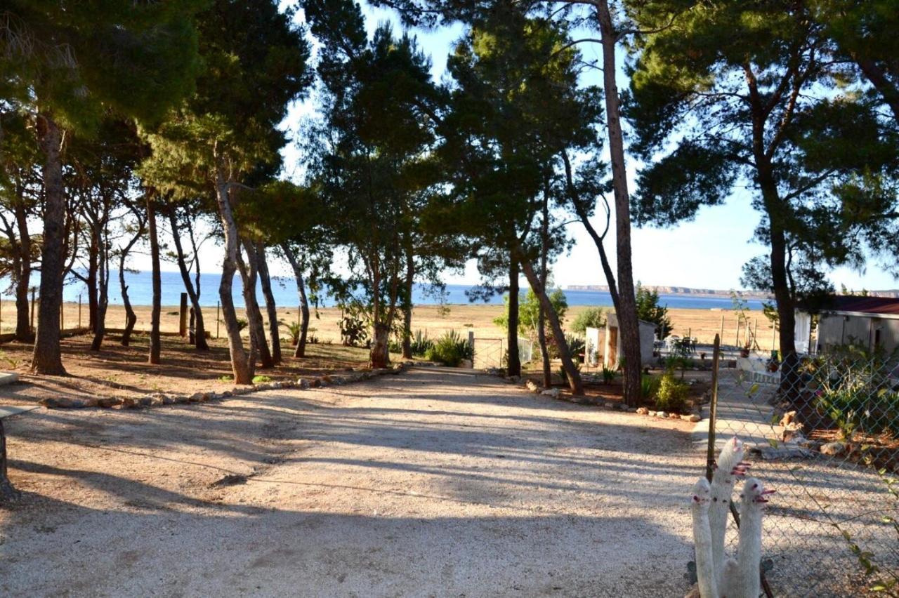 Appartamento I Tramonti Di Cofano 卡斯泰卢佐 外观 照片
