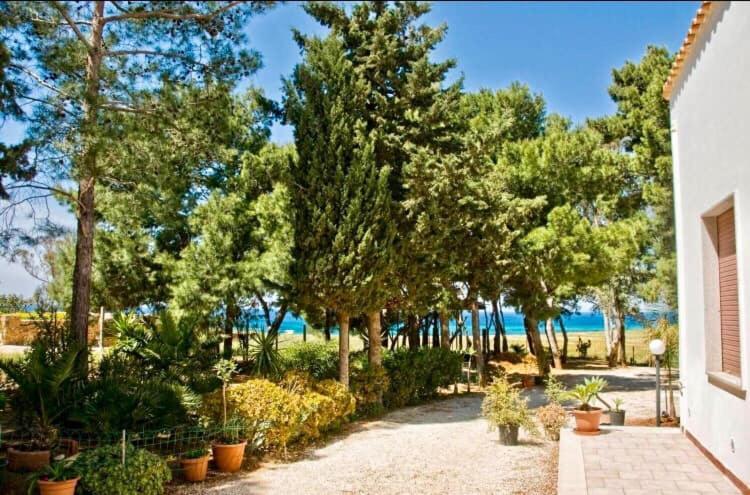 Appartamento I Tramonti Di Cofano 卡斯泰卢佐 外观 照片