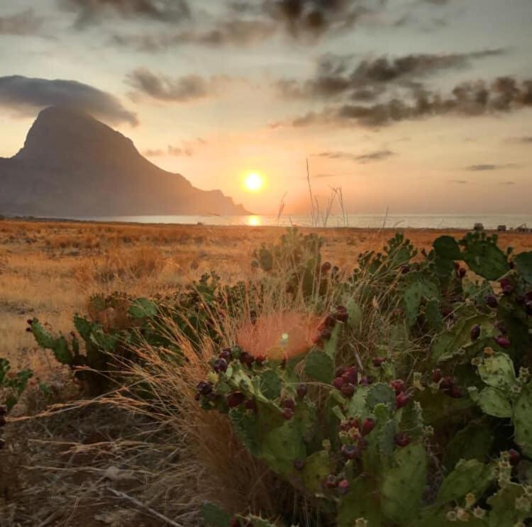 Appartamento I Tramonti Di Cofano 卡斯泰卢佐 外观 照片
