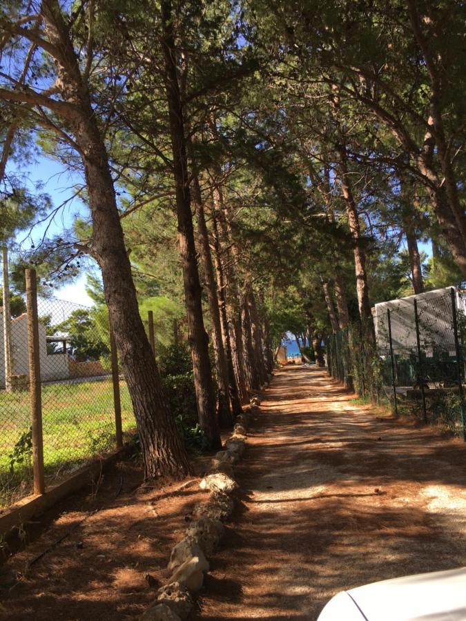 Appartamento I Tramonti Di Cofano 卡斯泰卢佐 外观 照片