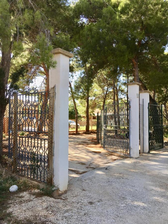 Appartamento I Tramonti Di Cofano 卡斯泰卢佐 外观 照片