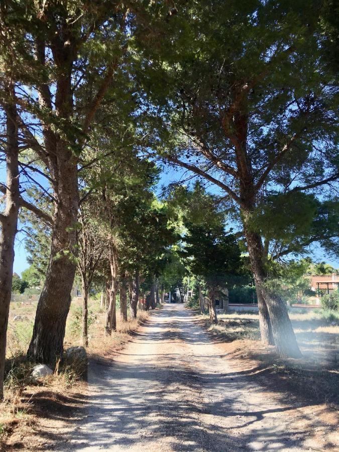 Appartamento I Tramonti Di Cofano 卡斯泰卢佐 外观 照片