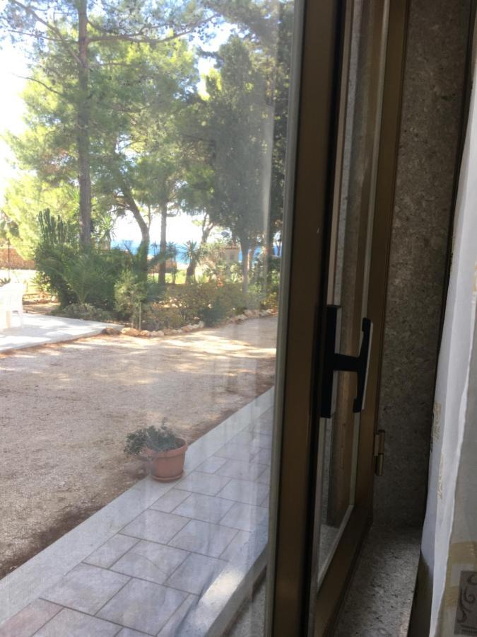 Appartamento I Tramonti Di Cofano 卡斯泰卢佐 外观 照片