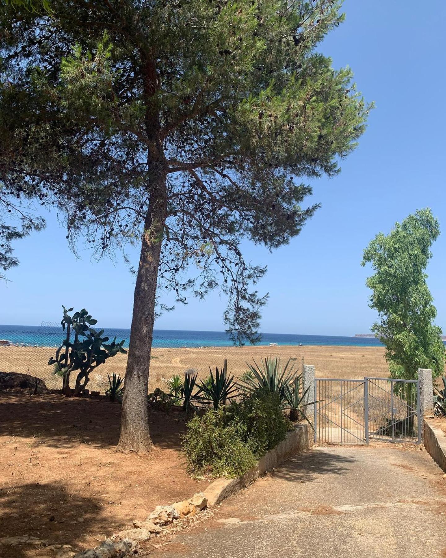 Appartamento I Tramonti Di Cofano 卡斯泰卢佐 外观 照片