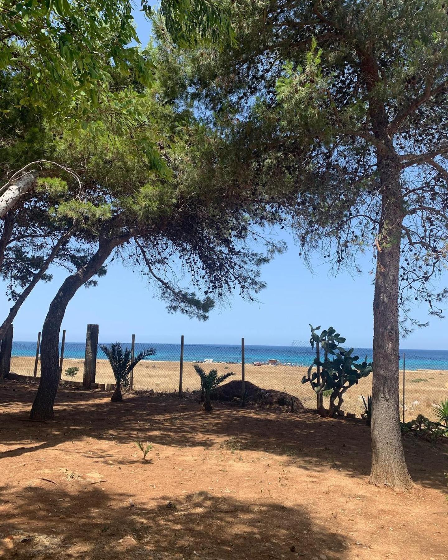 Appartamento I Tramonti Di Cofano 卡斯泰卢佐 外观 照片