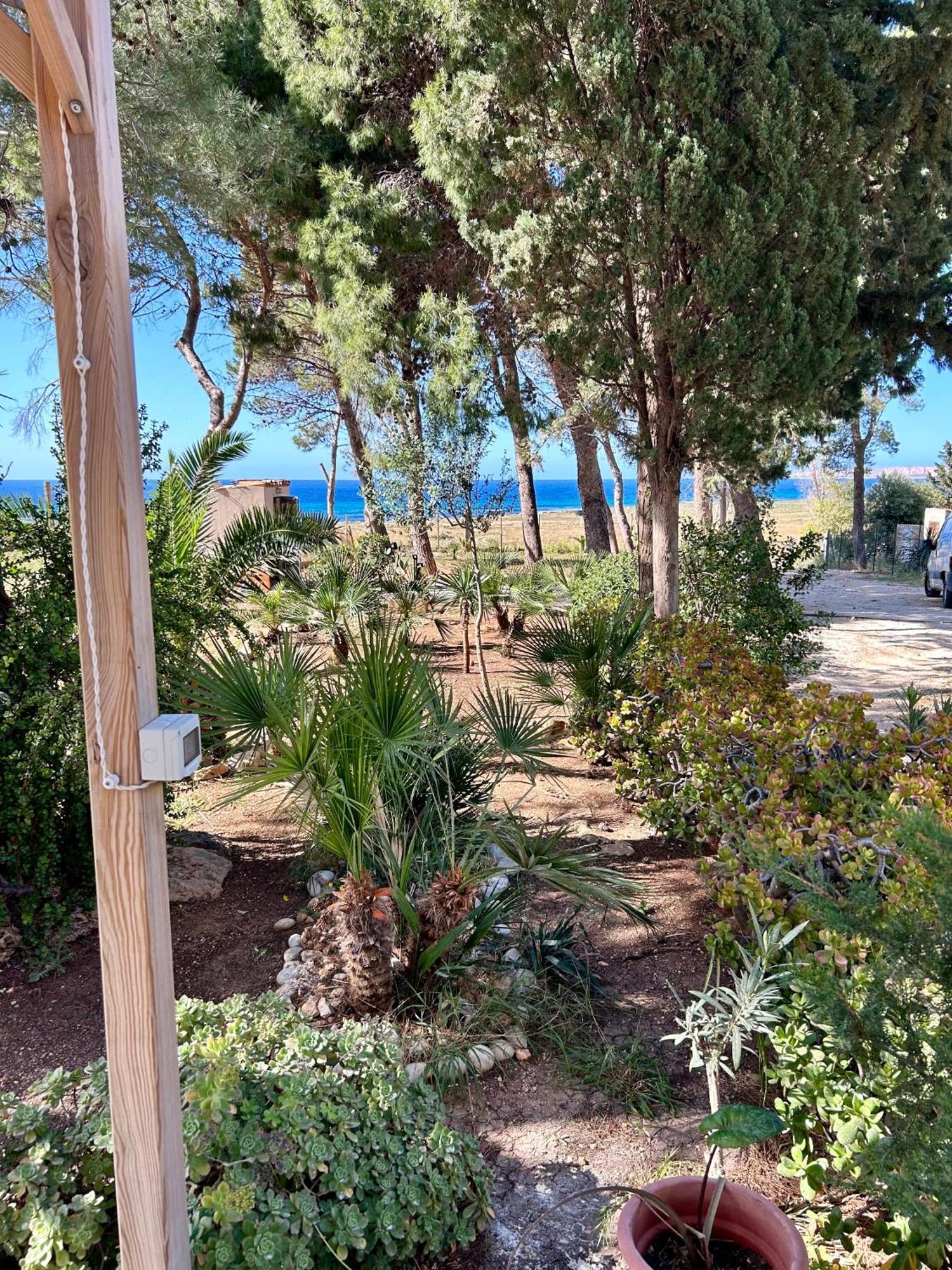 Appartamento I Tramonti Di Cofano 卡斯泰卢佐 外观 照片